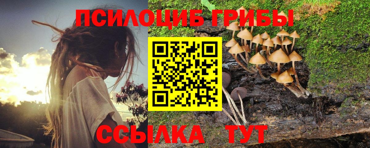 Галлюциногенные грибы прущие грибы Новочеркасск