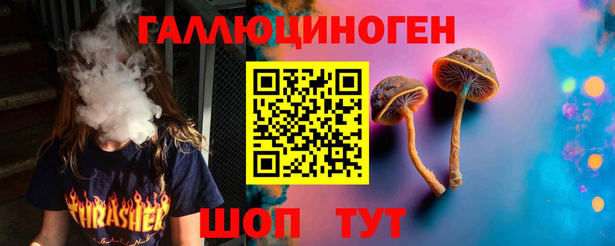 Новочеркасск  как найти закладки  Вход с VPN  Галлюциногенные грибы Magic Shrooms  Псилоцибиновые грибы ЛСД 