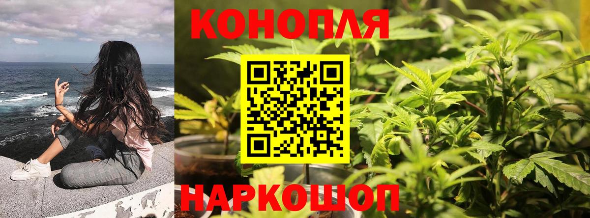 Марихуана план Новочеркасск